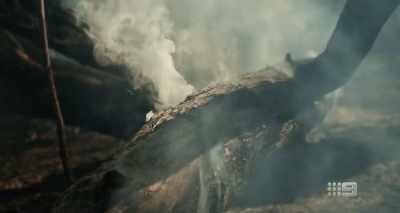 Not only are we trying to save
the environment, - A Fire Inside