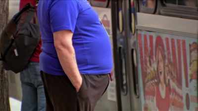 Not only did the low-fat
diet not work, it did us harm - Fat Fiction