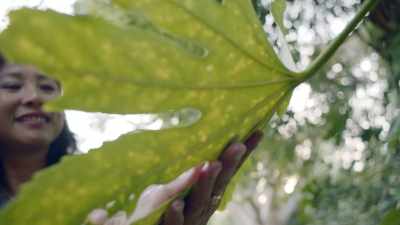 Not only do our senses
define our reality… - Human: The World Within