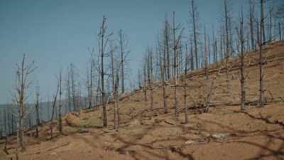 Not only is it
very damaging ecologically, - Bring Your Own Brigade