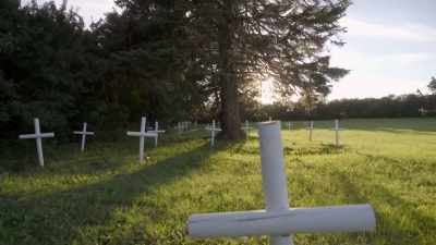 Not only my own ancestors - Black Life: Untold Stories