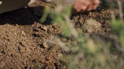 NOT SERIOUS, VIOLENT CRIMES
ANYMORE, JUST DINOSAUR CRIMES. - Dino Hunters