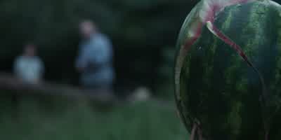 Not that I advocate that, but... - Ozark