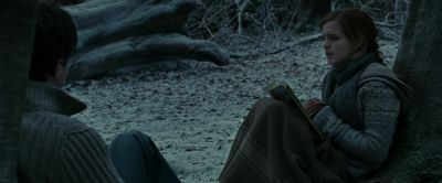 Not the river - Harry Potter and the Deathly Hallows: Part 1