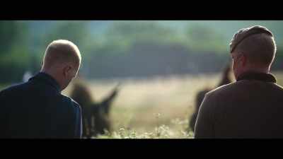 Not unless they've improved
massively from when they were here. - The Day of the Jackal