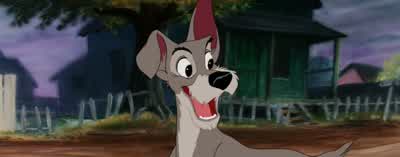 Not to change the subject, but... - Lady and the Tramp