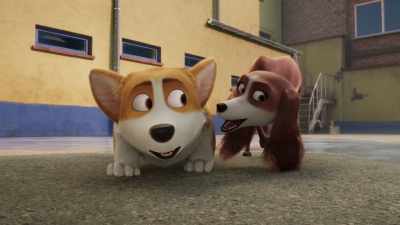 Not you, Your Royal Highness. - The Queen's Corgi