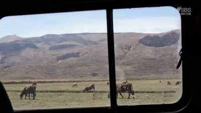 Note to self,
don't ever have an accident here. - From Russia to Iran: Crossing Wild Frontier