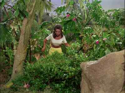 NOTHING. ABSOLUTELY
NOTHING AROUND HERE. - Gilligan's Island