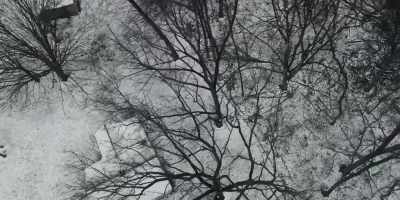 Nothing came of it for months. - The Murders at Starved Rock
