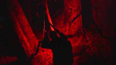 Nothing could climb up these,
human, animal, or otherwise. - Expedition Bigfoot