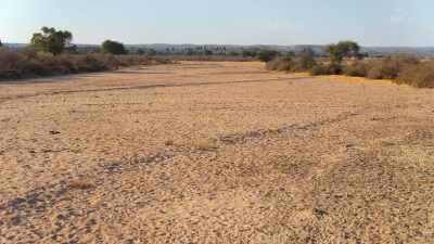 Nothing else is here because it's dry. - Our Planet