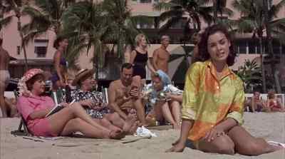 "Nothing, honestly,
not a thing." - Gidget Goes Hawaiian