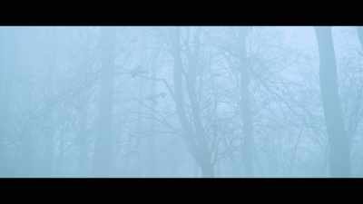 Nothing makes sense. - Tell Me Who I Am