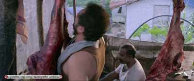 Nothing for outsiders!
all for yourself? - Jallikattu