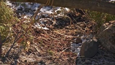 Nothing. - Naked and Afraid