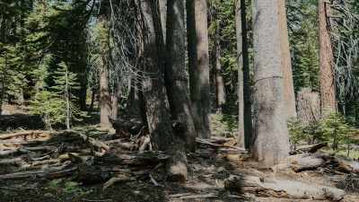 Nothing surprises me.
Nothing up here. - Missing 411: The Hunted