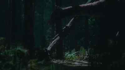 Nothing the bees can do deters this one. - Prehistoric Planet