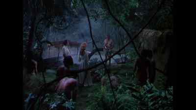 Nothing there. - The Naked Jungle