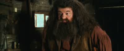 Nothing to do but wait till it stops, I'm afraid. - Harry Potter and the Chamber of Secrets