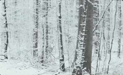 Nothing. What am I supposed to
do? - Winter Brothers