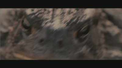 Notice clan, I will
have my revenge. - Fuck You Immortality