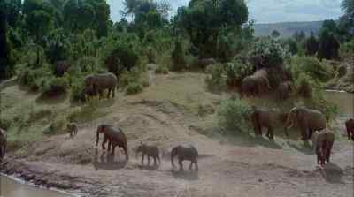 Nourished again by the serengeti and - Africa: The Serengeti