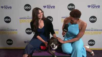 -Nova and Evie, Best in Belly Rubs.
-Hi! - 2022 American Rescue Dog Show