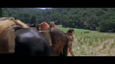Nova, no. - Planet of the Apes