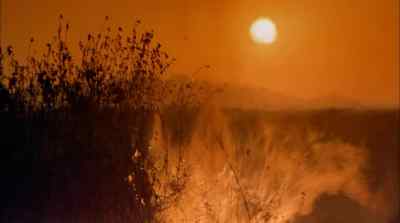 Now adversities multiply - Africa: The Serengeti