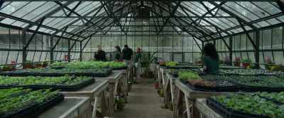 Now, all of these plants here - Master Gardener