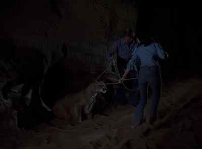 Now all of you... - The Six Million Dollar Man