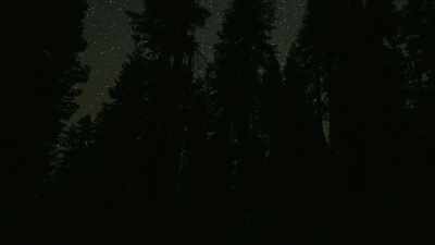 Now, although we didn't
experience anything paranormal, - Missing 411: The Hunted