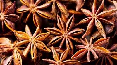   Now, anise-based spirits - Moonshiners: Master Distiller