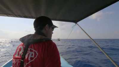 "Now, they are anxious
about Hope's chances" - Secrets of the Whales