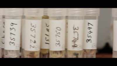 Now we are testing short segments of DNA, - This Is the Zodiac Speaking
