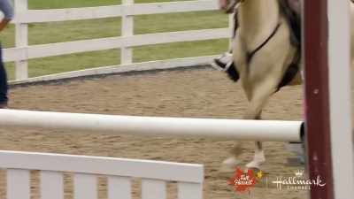 Now, being trained
by your ex-husband - Taking the Reins