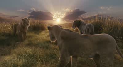 Now both of you go. - Mufasa: The Lion King