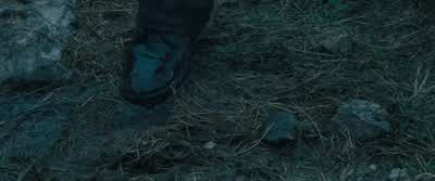Now, boy! - War Horse