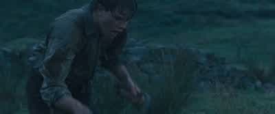 Now, boy! - War Horse