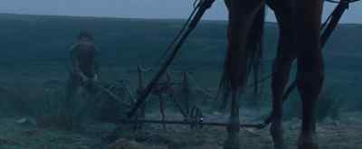 Now, boy! - War Horse