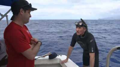 "Now, Brian and Shane head out
to search for different whale clans..." - Secrets of the Whales