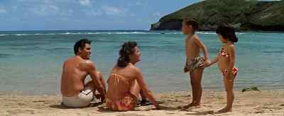 Now can I play? - Blue Hawaii