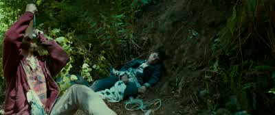 Now can I see her? - Swiss Army Man