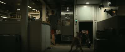 Now can we please have a quiet evening at home tonight? - Finch