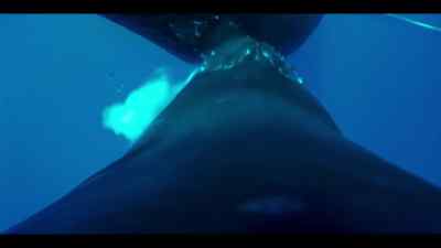 Now, he can suckle in peace... - Our Oceans