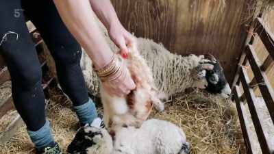 Now he can take his coat off.
Look, that's it. It's gone. - Our Yorkshire Farm
