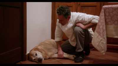 Now close your eyes. Shut your eyes well. - Dogs