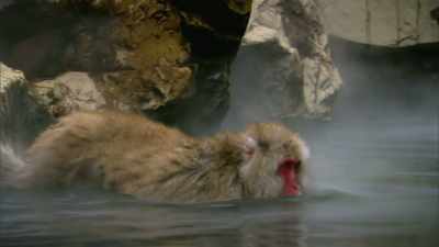 Now, we could see flash flooding
between now and the ‐‐ Whoa! - When Nature Calls with Helen Mirren
