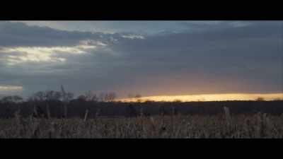 Now cursed is the
ground because of you, - Adam the First